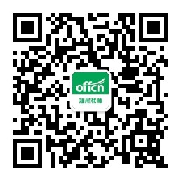 2022广东惠州大亚湾开发区招聘公办中小学短缺学科教师332人公告